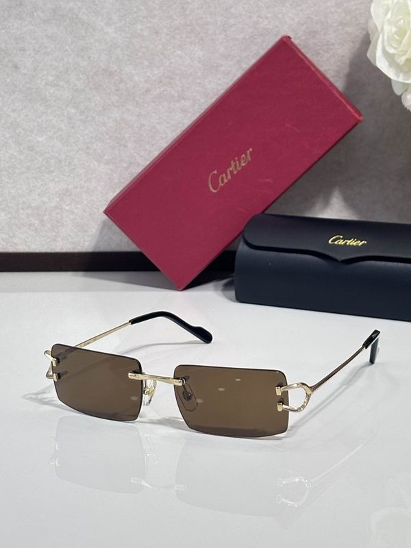 Cartier Glasses smr189